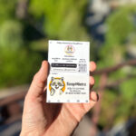 Magnetyczne wizytówki